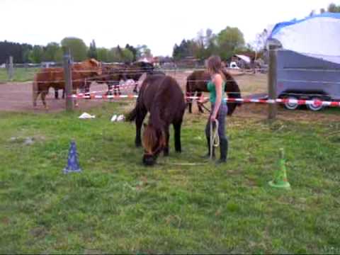 Verena und Rökkvi level1