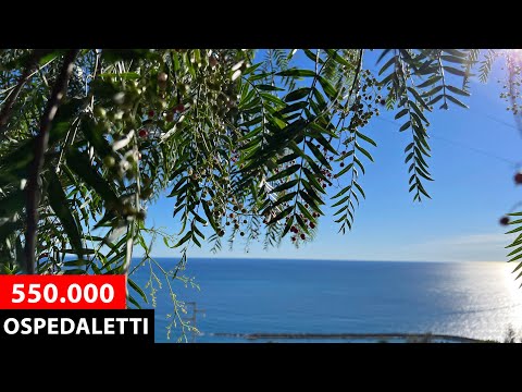 🦀 Approved villa project in Ospedaletti 430 m2