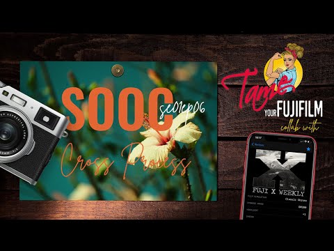 SOOC Cross Process | Tame Your Fujifilm + Fuji X Weekly SE01 EP06