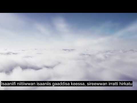 Chapter 36 Yaseen, Healing Quran Recitation, 90+ Language Subtitles | Oromo
