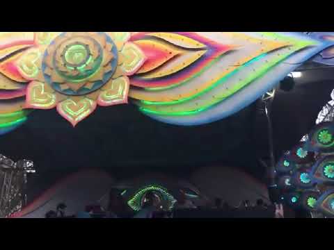 Avalon live performance goa. #psytrance #psy #avalon #astrix #sajanka #vinivici #ajja #shorts #music