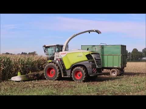 Claas Jaguar 970 nimmt 12 Reihen, Fendt, JohnDeere Gespanne.