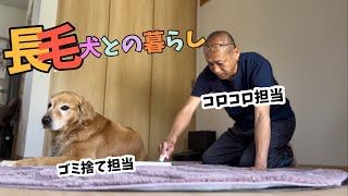 【犬との暮らしで掃除慣れした二人】掃除の役割分担が完璧すぎる最強コンビ（笑）