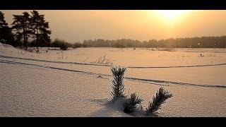 preview picture of video 'Прогулки вдоль зимней реки'
