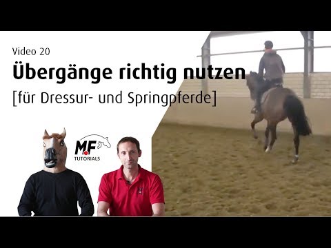 [20] Übergänge richtig reiten/nutzen | Dressur und Springpferd | Horsed