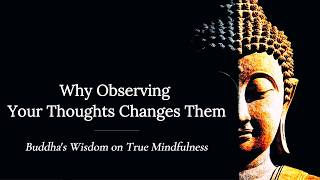 Why Observing Your Thoughts Changes Them — Buddha's Wisdom on True Mindfulness