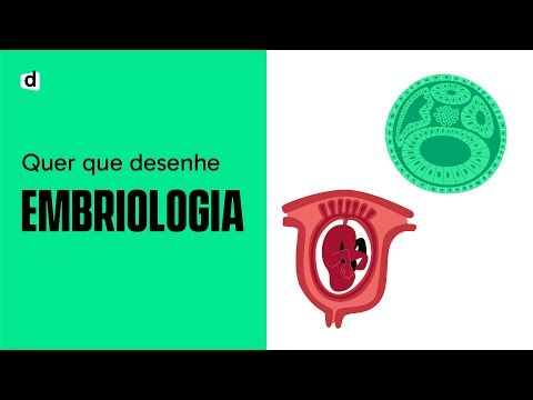 EMBRIOLOGIA | Quer que desenhe | Mapa Mental