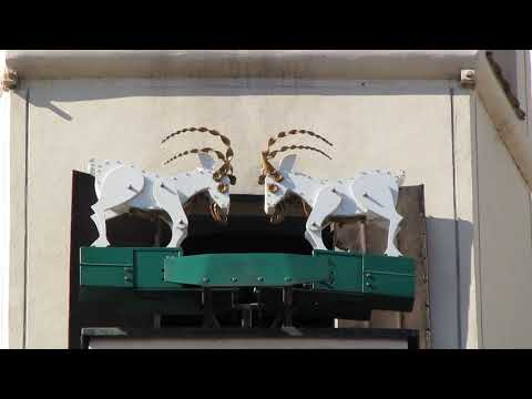 POZNAŃSKIE KOZIOŁKI