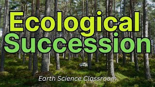 What Is Ecological Succession?