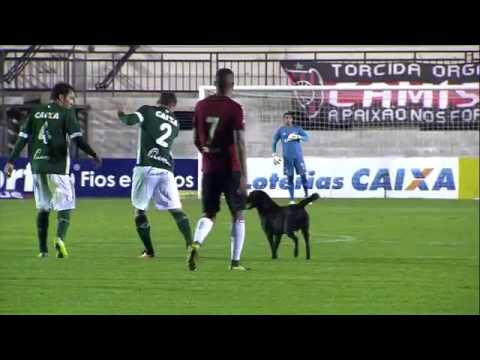 Brasil de Pelotas 2 x 1 Goias 2/8/2016 Brasileiro da Série B