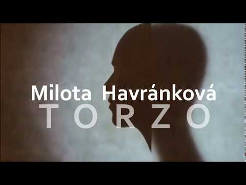 MILOTA HAVRÁNKOVÁ / TORZO / Laboratório de Retornos Eternos / GALERIA LESTE ESLOVÁQUIA / KOSICE / 2020