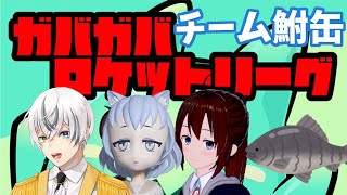 【ガバガバロケットリーグ杯】チーム鮒缶です。【菜刈らお/VTuber】