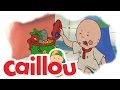 Caillou Caillou Joins The Circus S01E08 Cartoon For Kids