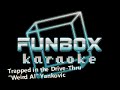 Weird Al Yankovic - Trapped in the Drive-Thru (Funbox Karaoke, 2006)