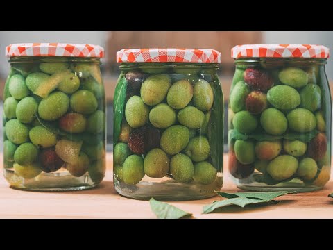 OLIVES IN WATER: Grandma Barese's recipe for preserving olives in brine