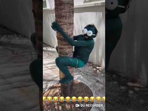 andorinha Bahia 2026