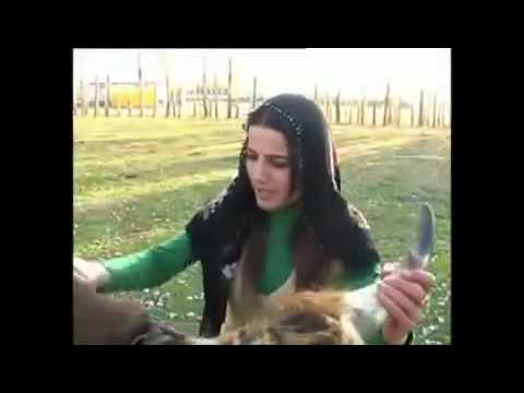 lakirdi cemil hosta kurban