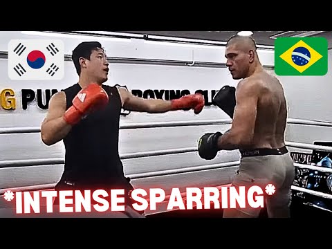 Alex Pereira Vs South Korean Boxing Champion (FULL SPARRING)