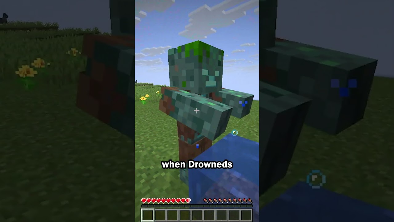 Drowned secret feature