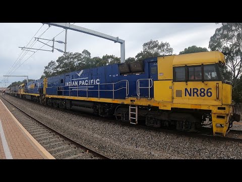 #1MP2 NR86 NR71 NR93 NR117