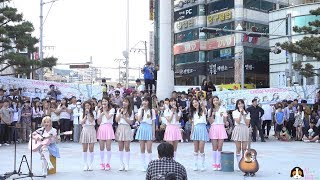 [4K] 170528 다이아 (DIA) 전체캠 - 너만 모르나 봄 (Not Only You But Spring) @부산광안리버스킹 By 신비글