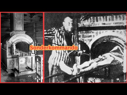 Die Sonderkommandos von Auschwitz: Der schrecklichste Job der Geschichte