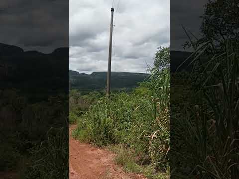 Caminando por el monte Chiquitano, Aguas Calientes, Santa Cruz, Bolívia.