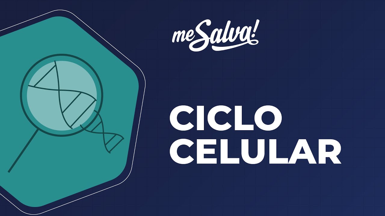 Ciclo Celular - Genética Humana - Me Salva! Saúde