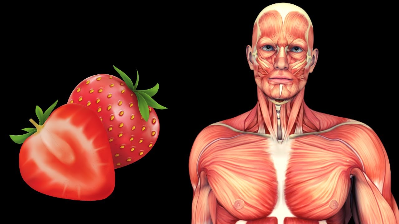 ¿Qué ocurriría en tu cuerpo si comes fresas cada día 16 increíbles beneficios🍓