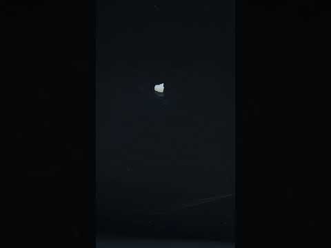 YouTube 썸네일