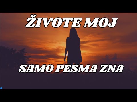 Živote moj - Samo Pesma Zna - Hard Rock - COVER