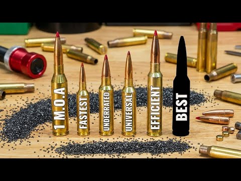 My Top 5 Cartridges For BIG GAME (you can’t change my mind) 