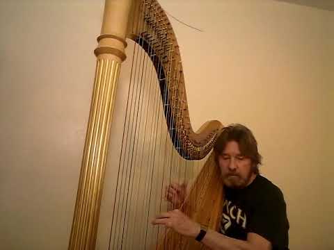 Martin Wynne's Air (Traditional Irish)