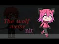 The Wolf Meme Nit