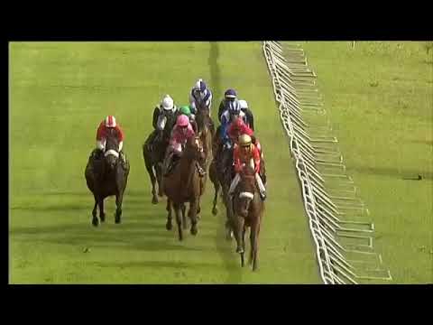 2019.12.14 Cape Cape Summer Stayers Handicap (RSA) - Dharma