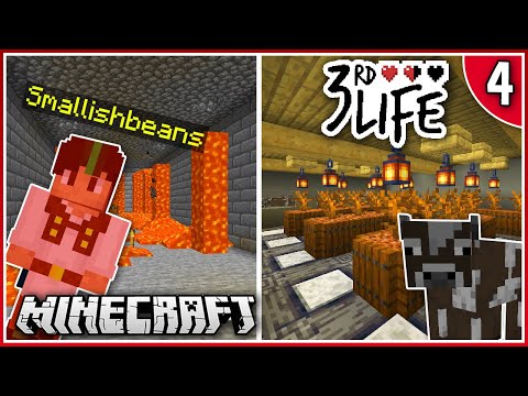 What Did it Cost? | 3rd Life | Ep.4