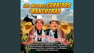 Arturo Garza Trevino