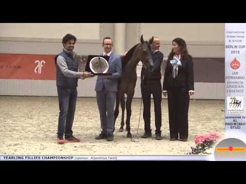 Third place Berlin Cup Werder 2015 - Yearling Fillies Championship (Class 15) - N.5 ALIA AM