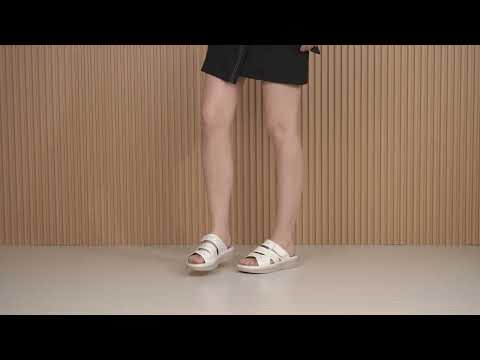 YouTube動画