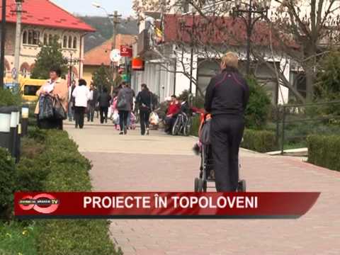 06 PROIECTE IN TOPOLOVENI