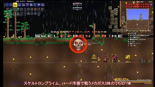 Terraria Calamity infernum ジャーニー×2.95倍を2週目プレイ part.2【ゆっくり実況】