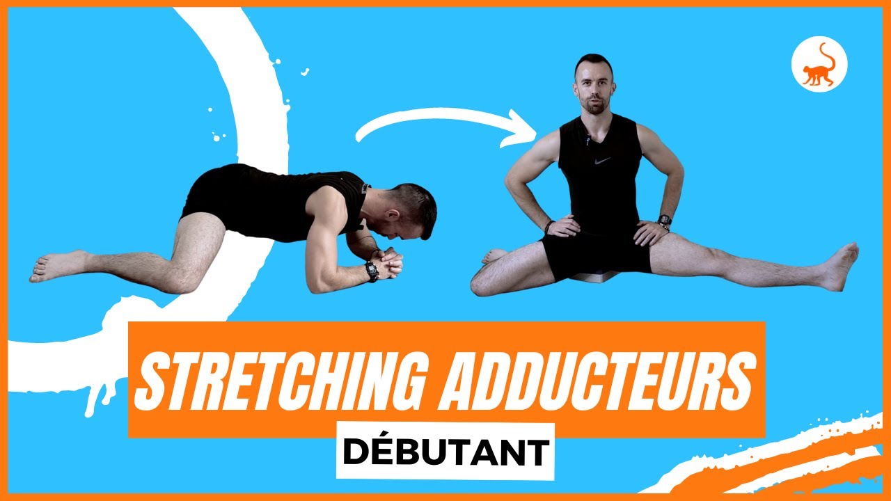 Stretching Adducteurs (Position Grenouille et Grand Écart Facial) - Débutant