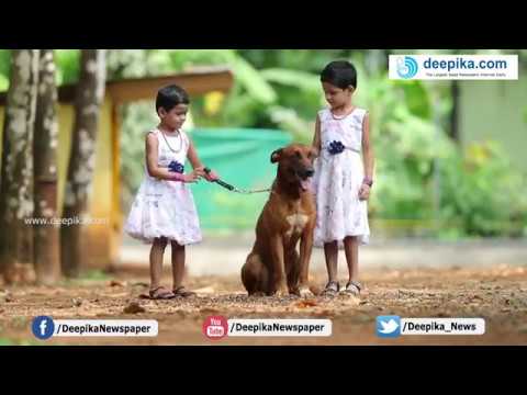 Saajan Saji Cyriac K9 dog training school.9961310970