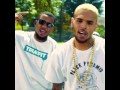 The Game Ft. Lil Wayne & Chris Brown - Fuck Yo ...