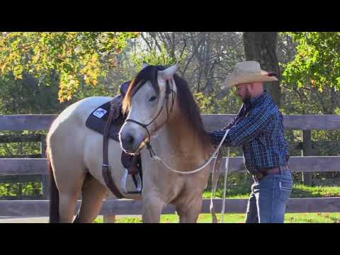 A doma mais bonita ... (Doma racional)