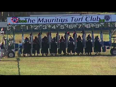 The Rhythmically Cup | Italian Way | B.Fayd'herbe