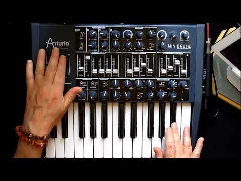 Ot Arturia Minibrute Numan Winwood Leads Bass Patches With | Forex leads forum Ot Arturia Minibrute Numan Winwood Leads Bass Patches With -