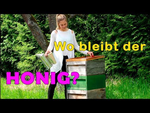 Der Standard der Behandlung des Ekzems Die Schuppenflechte die Behandlung vom Fett