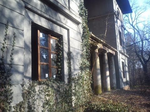 Dom w Podkowie Leśnej