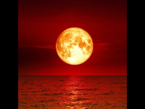 Meowser Guide all powerups [AUDIO FIXED]